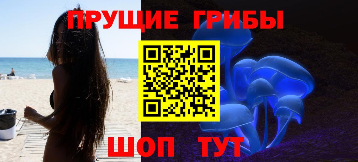 Псилоцибиновые грибы прущие грибы  Вход с VPN  Новомосковск 